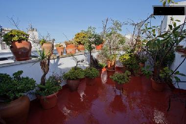 Appartement de vacances /en/au Cdiz (Cdiz)ou appartement ou maison de vacances