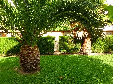 Appartement de vacances /en/au JAVEA (Alicante / Alacant)ou appartement ou maison de vacances