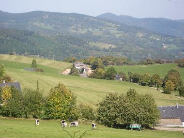 Appartement de vacances �/en/au Stosswihr (Haut-Rhin)ou appartement ou maison de vacances