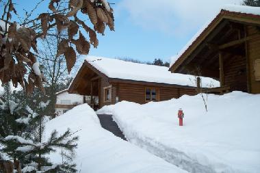 Maison de vacances �/en/au Stamsried (Oberpfalz)ou appartement ou maison de vacances