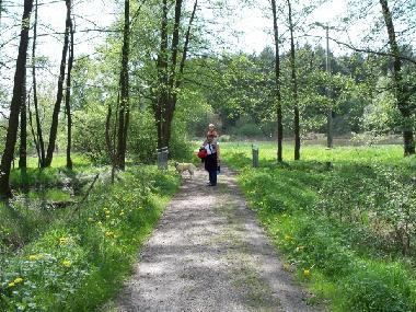 Maison de vacances �/en/au Stamsried (Oberpfalz)ou appartement ou maison de vacances