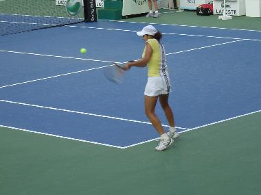 Appartement de vacances /en/au Les Carroz d