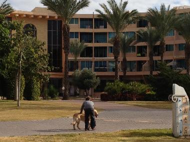 Appartement de vacances �/en/au caesarea (HaMerkaz (Central))ou appartement ou maison de vacances