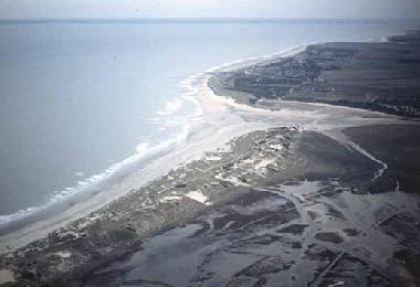 Maison de vacances �/en/au Cadzand (Zeeland)ou appartement ou maison de vacances