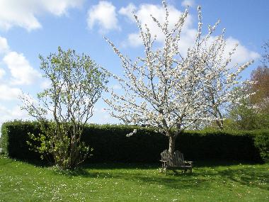 Maison de vacances /en/au Oostburg (Zeeland)ou appartement ou maison de vacances