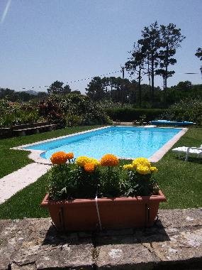 Maison de vacances �/en/au Praia Grande (Grande Lisboa)ou appartement ou maison de vacances
