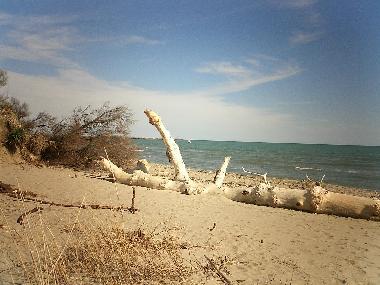 Appartement de vacances �/en/au Thezan les Beziers (H�rault)ou appartement ou maison de vacances