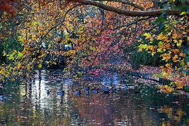 Appartement de vacances /en/au LA ROCHELLE (Charente-Maritime)ou appartement ou maison de vacances