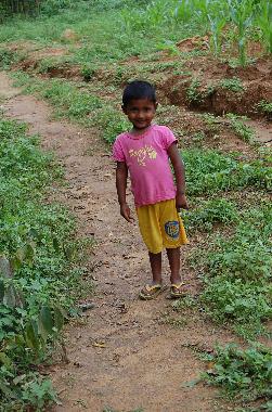 Maison de vacances �/en/au Koslanda (Badulla)ou appartement ou maison de vacances