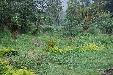 Maison de vacances �/en/au Koslanda (Badulla)ou appartement ou maison de vacances