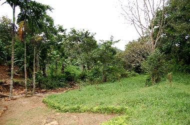 Maison de vacances �/en/au Koslanda (Badulla)ou appartement ou maison de vacances