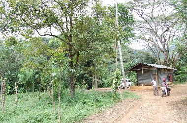 Maison de vacances �/en/au Koslanda (Badulla)ou appartement ou maison de vacances