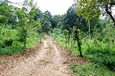 Maison de vacances �/en/au Koslanda (Badulla)ou appartement ou maison de vacances