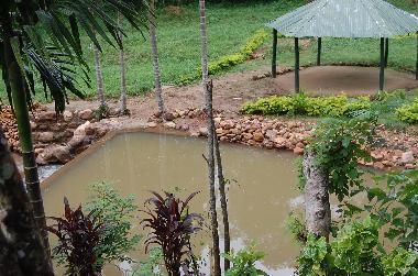 Maison de vacances �/en/au Koslanda (Badulla)ou appartement ou maison de vacances