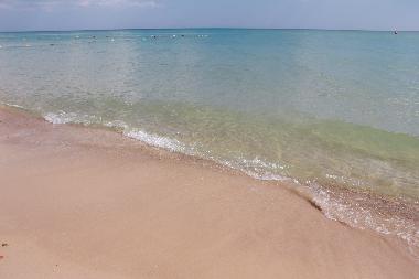 Appartement de vacances �/en/au Hammamet (Nabul)ou appartement ou maison de vacances