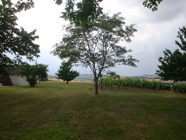 Villa /en/au lamothe goas (Gers)ou appartement ou maison de vacances