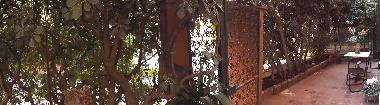 Appartement de vacances �/en/au bologne (Bologna)ou appartement ou maison de vacances