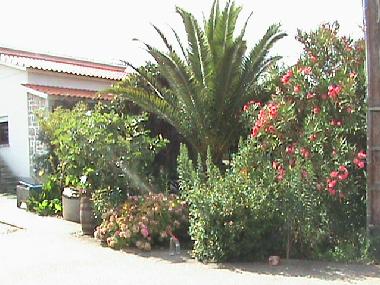 Maison de vacances �/en/au COIMBRAO (Pinhal Litoral)ou appartement ou maison de vacances