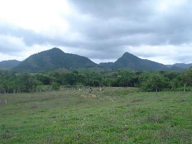 le paysage ,les lomas