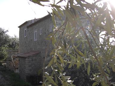 Maison de vacances �/en/au Glossa (Magnisia)ou appartement ou maison de vacances