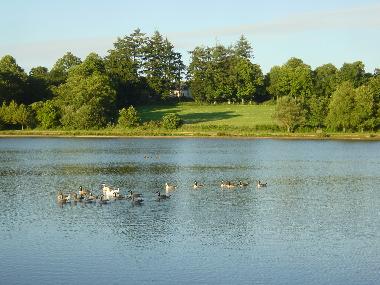 Maison de vacances �/en/au Langoelan (Morbihan)ou appartement ou maison de vacances