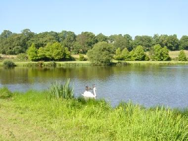 Maison de vacances �/en/au Langoelan (Morbihan)ou appartement ou maison de vacances