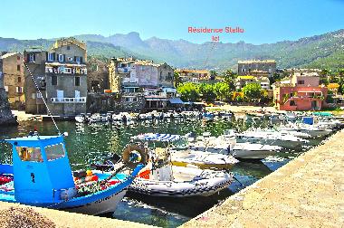 Appartement de vacances /en/au Erbalunga Cap corse (Haute-Corse)ou appartement ou maison de vacances