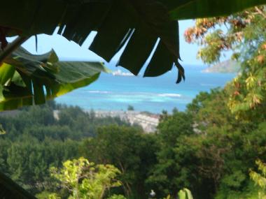 vue paradisiaque depuis le chemin descandant a la maison
