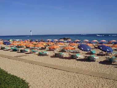 Appartement de vacances �/en/au Albufeira (Algarve)ou appartement ou maison de vacances