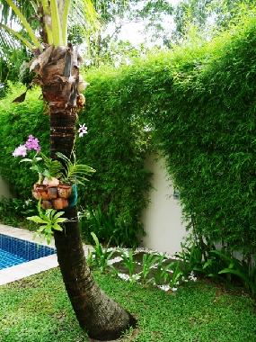 Maison de vacances �/en/au Bang Tao on Phuket Island (Phuket)ou appartement ou maison de vacances