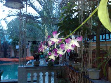 Maison de vacances �/en/au NHA TRANG (Khanh Hoa)ou appartement ou maison de vacances