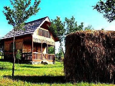 Maison de vacances �/en/au Ieud (Maramures)ou appartement ou maison de vacances