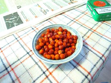 Maison de vacances �/en/au Vara (V�sterg�tland)ou appartement ou maison de vacances