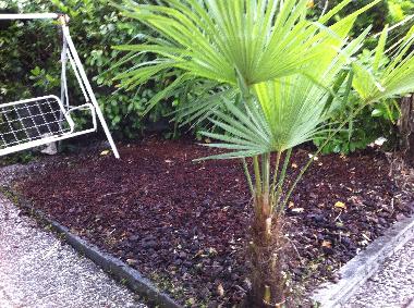 Appartement de vacances /en/au Piano di Porlezza (Como)ou appartement ou maison de vacances