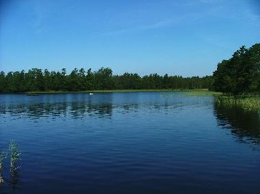 Maison de vacances /en/au Urshult (Smaland)ou appartement ou maison de vacances