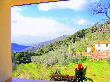 Appartement de vacances �/en/au Campiglia Marittima (Livorno)ou appartement ou maison de vacances