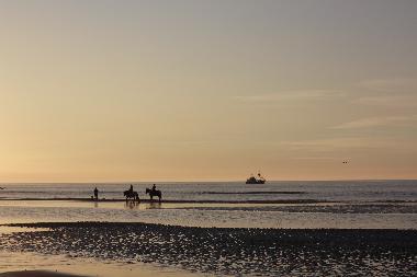 Appartement de vacances /en/au De Haan (Vosseslag) (Flandre)ou appartement ou maison de vacances