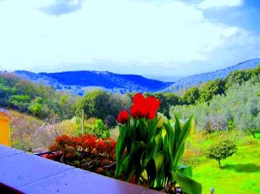 Appartement de vacances �/en/au Campiglia Marittima (Livorno)ou appartement ou maison de vacances