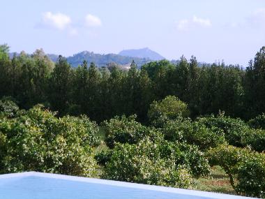 Maison de vacances /en/au Manacor (Mallorca)ou appartement ou maison de vacances