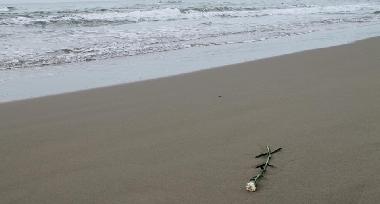 Appartement de vacances /en/au Ardea Roma (Roma)ou appartement ou maison de vacances