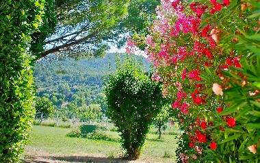 Maison de vacances /en/au AUPS (Var)ou appartement ou maison de vacances