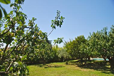 Maison de vacances /en/au AUPS (Var)ou appartement ou maison de vacances