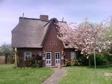 Maison de vacances �/en/au Bad Friedrichskoog-Spitze (Nordsee-Festland)ou appartement ou maison de vacances