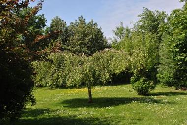 Maison de vacances �/en/au Bad Friedrichskoog-Spitze (Nordsee-Festland)ou appartement ou maison de vacances