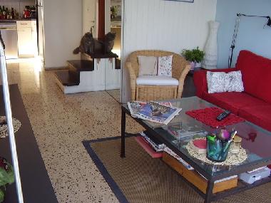 Appartement de vacances �/en/au Tel Aviv (Tel Aviv)ou appartement ou maison de vacances