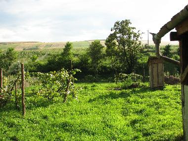 Maison de vacances �/en/au Cund (Mures)ou appartement ou maison de vacances