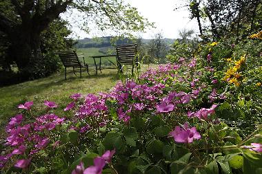 Maison de vacances /en/au San Pancrazio (Firenze)ou appartement ou maison de vacances