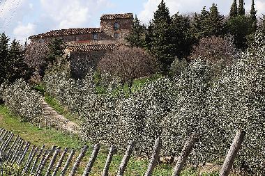 Maison de vacances /en/au San Pancrazio (Firenze)ou appartement ou maison de vacances