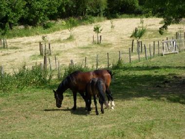 Appartement de vacances �/en/au Saint Ythaire (Sa�ne-et-Loire)ou appartement ou maison de vacances