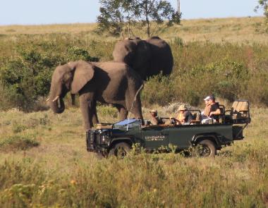 game drive